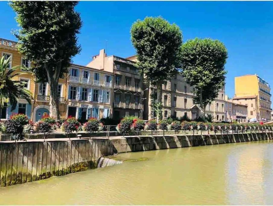 Apartament Soleil Sucre T2 Centre Historique De Narbona Zewnętrze zdjęcie